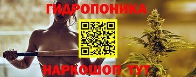 apvp Краснодар