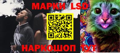 apvp Краснодар