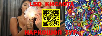 apvp Краснодар