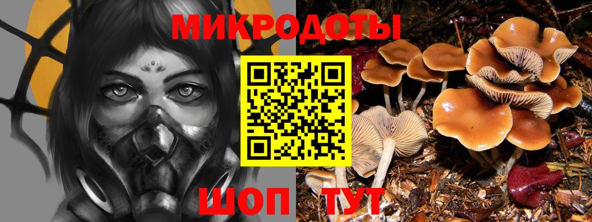 Псилоцибиновые грибы мухоморы Йошкар-Ола